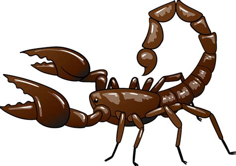 Scorpion Euclidean Vector Clip Art Scorpions Png Download 601648