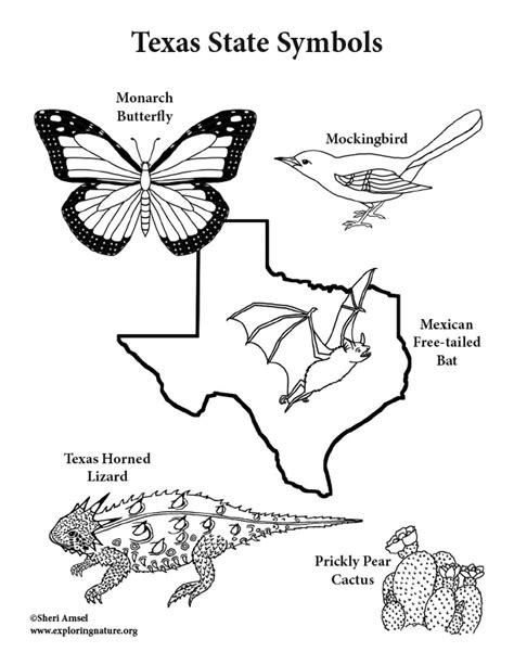 Texas State Seal Coloring Page Coloring Pages