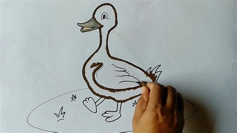 Cara Menggambar Bebek Menggambar Bebek Yang Mudah Easy Drawings