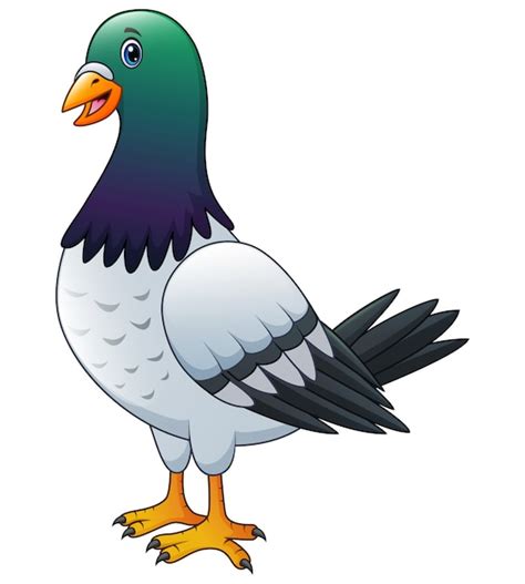 Happy Pigeon Cartoon Isolated Vector Premium Download