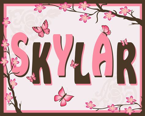 Skylar Name Art Created In Coreldraw New Baby Names Names With
