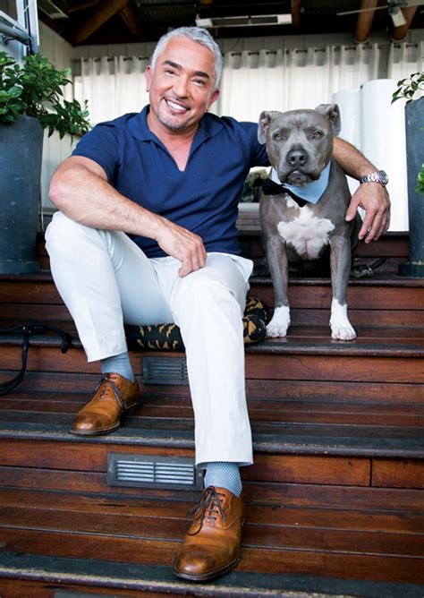 Cesar Millan Believes Animals Can Teach Us How To Be Better Human Beings