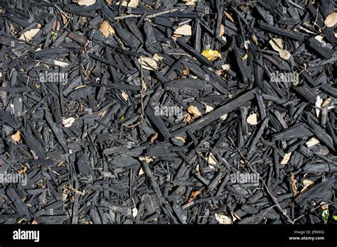 Black Burnt Wood Chip Mulch Texture Or Background Mulch Keeps Soil