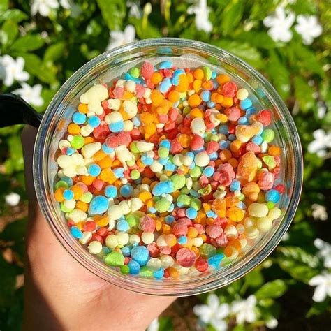 Dippin Dots New York Food Trucks Ice Cream Catering