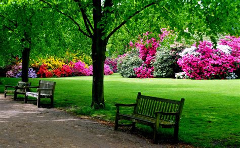 23 Stunning Places To See Spring Flowers In London Parks