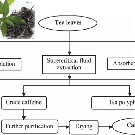 Extraction Of Caffeine From Tea Heather Parr
