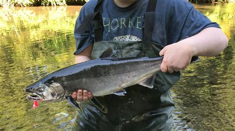 2020 Big Quilcene River Fishing Report The Lunkers Guide