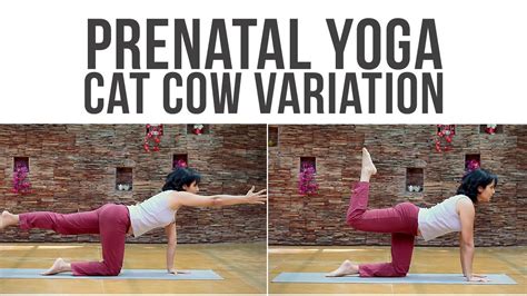 Begin with a neutral spine, . Cat And Cow Pose Yoga Pregnancy : Four Exercises To Ease ...