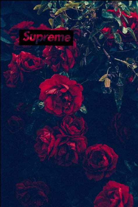 Rose Supreme Anime Wallpapers Wallpaper Cave
