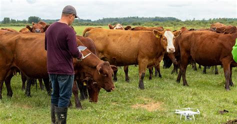 Bringing Innovations And Expertise To Alberta Ranchers Alberta Beef