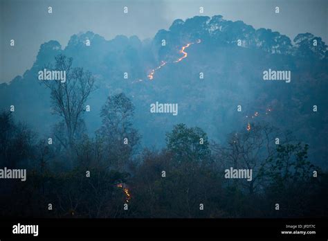 Fire In The Forest Above Abandoned Thak Village Thak Was Made Famous By Jim Corbett In His Book