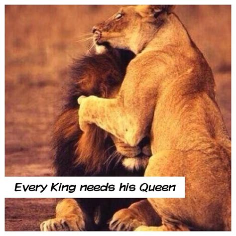 Every King Needs His Queen Animal Lover Animals Lion Love