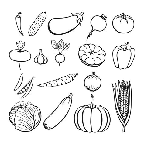 Hand Drawn Vegetables Collection Isolated Elements On The White