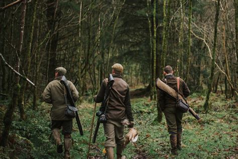 Game Shooting In Hampshire Shoots And Availability On Gunsonpegs