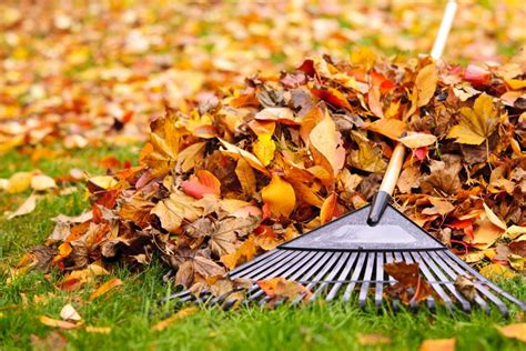Here Are 6 Fall Lawn Care Tips For Memphis Tn Homeowners