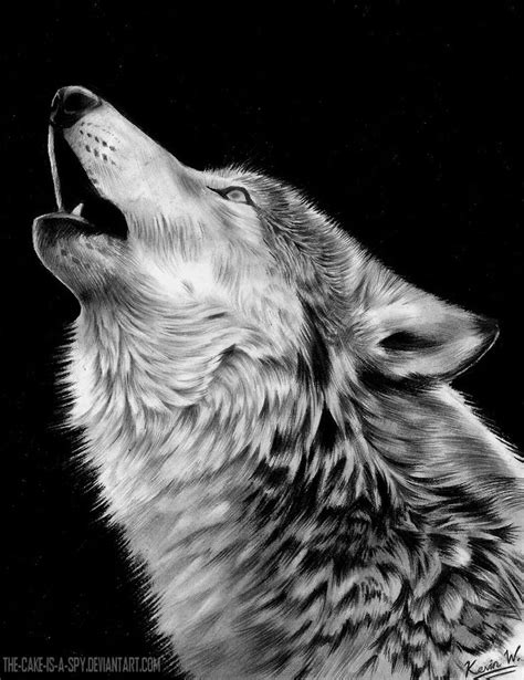 Welcome to dragoart's free online drawing tutorials for kids and adults. 11 best wolf tattoo images on Pinterest | Wolf howling ...