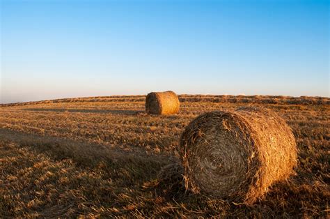 Straw Bales At Sunset Free Stock Photo Public Domain Pictures