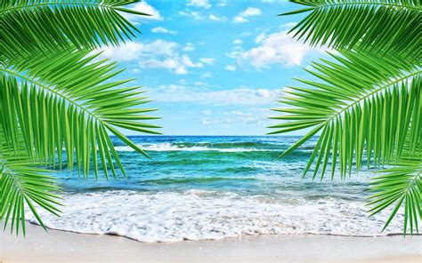 Tropical Laptop Backgrounds