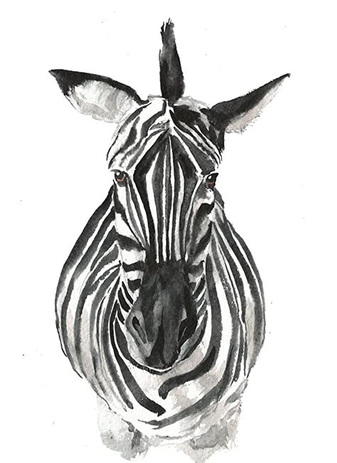 Zebra Art A020 Zebra Art Print 8x10zebra Wall Art