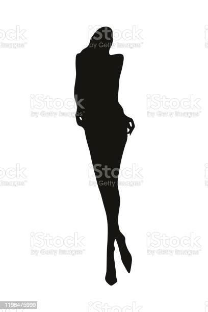 Silhouette Of Young Slender Woman Model Stock Illustration Download