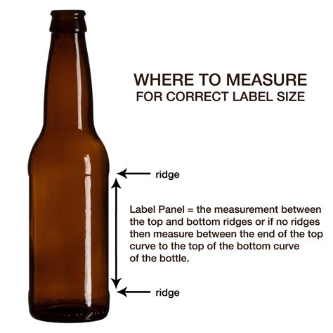 Beer Bottle Dimensions Inches Best Pictures And Decription Forwardsetcom