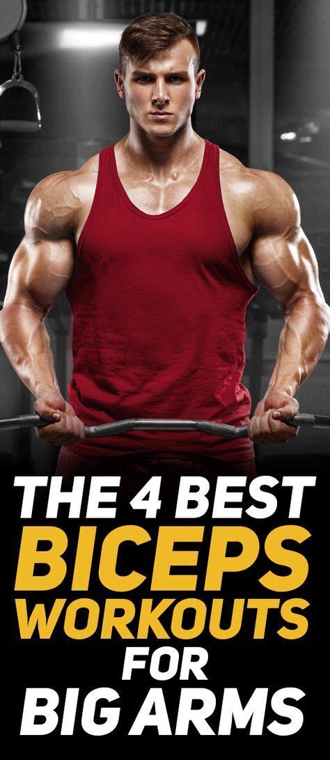 Check Out The 4 Best Biceps Workouts For Big Arms Fitness Gym