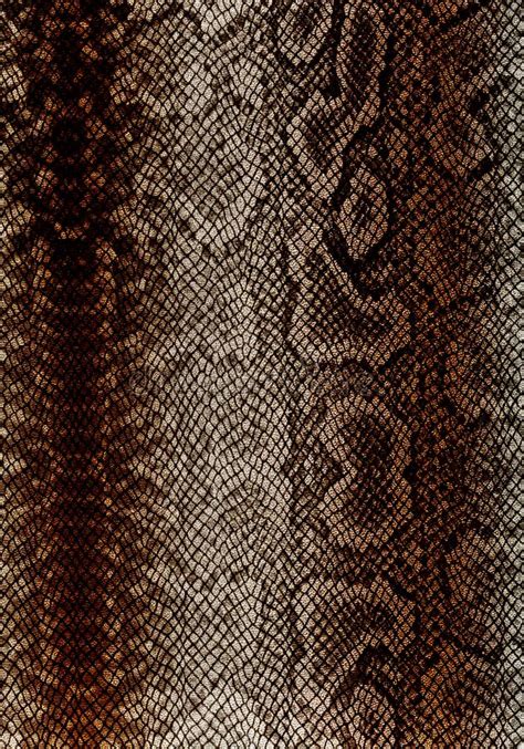 Snake Leather Background Texture Stock Photo Image Of Backdrop Gray