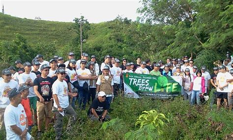 Hundreds Join Tree Planting Cebu Daily News
