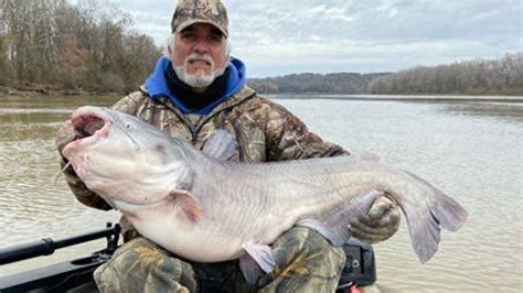 Pound Catfish Caught On The Cumberland River Cumberland River