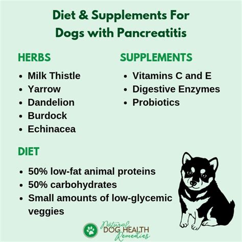 It also contains organic coconut oil and vitamin e supplement to support the overall skin and coat health of your dog. Dog Pancreatitis Remedies, Supplements and Diet