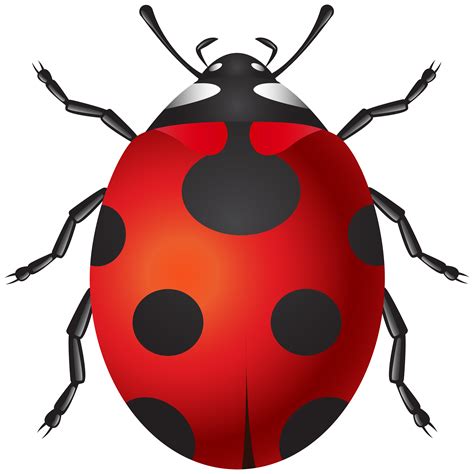 Ladybug Png Clip Art Best Web Clipart