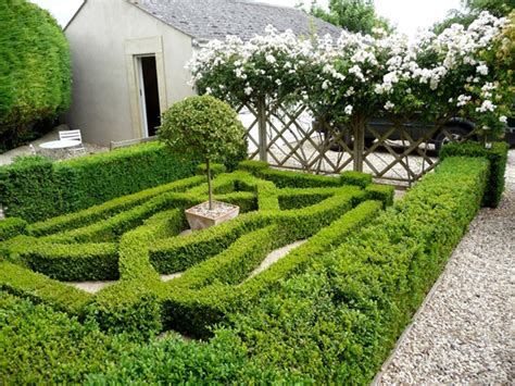 Using conventional methods to create a knot garden will mean waiting years for that wonderful finished look. Symmetry & Order: Knot Garden | InteriorHolic.com