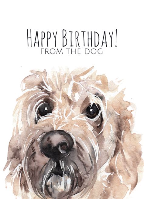 Goldendoodle Happy Birthday From The Dog By Jo Scott Art Cardly