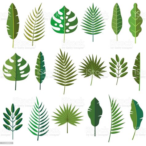 Tropical Leaf Icons Stock Illustration - Download Image Now - iStock