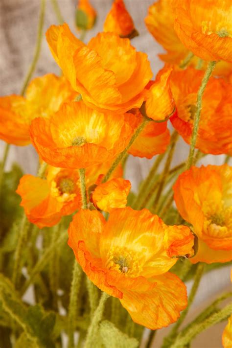12 Orange Poppy Flowers Silk Flowers | Silk flowers, Flowers, Poppies
