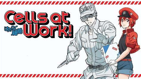 Cells At Work Wallpapers Wallpaper Cave