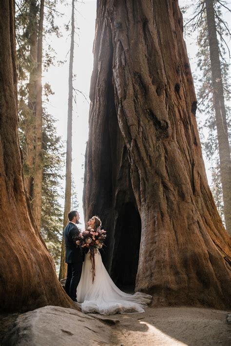 Maybe you would like to learn more about one of these? sequoia National Park elopement in the forest | adventure wedding photographer — Adventure ...