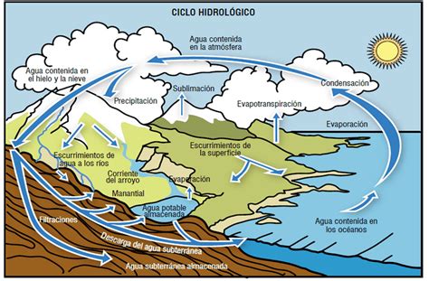 Todo Lo Que Debes Saber Sobre El Ciclo Hidrológico O Ciclo Del Agua