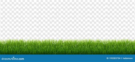 Green Grass Isolated Transparent Background Stock Vector Illustration