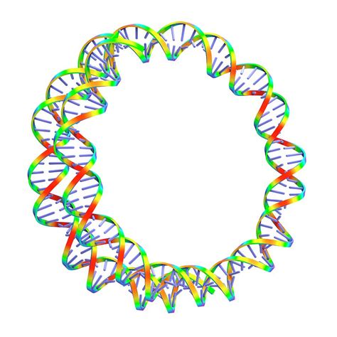 Circular Dna Molecule Photograph By Alfred Pasieka