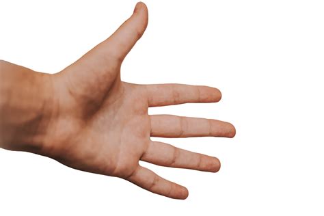 100 Transparent Background Hand Png Image For Free
