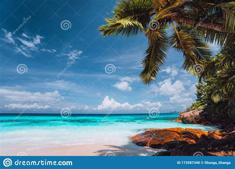 Exotic Tropical Beach Pristine Crystal Clear Turquoise Ocean Water