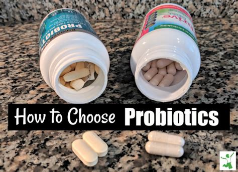 How To Choose The Best Probiotic Healthy Home Economist