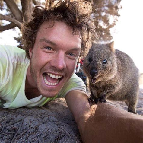 Western australia promotes the photos for tourism, but an instagram warning has prompted discussion. SO, TAKING A QUOKKA SELFIE IS A "THING" NOW IN AUSTRALIA ...
