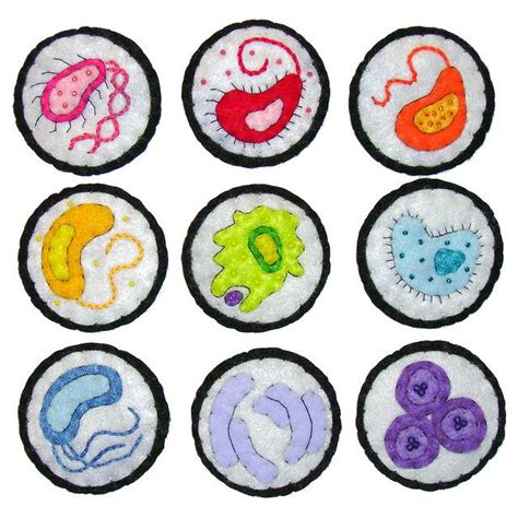 Some Of The New Bacteria Pins Embroidery Designs Crafts Pins