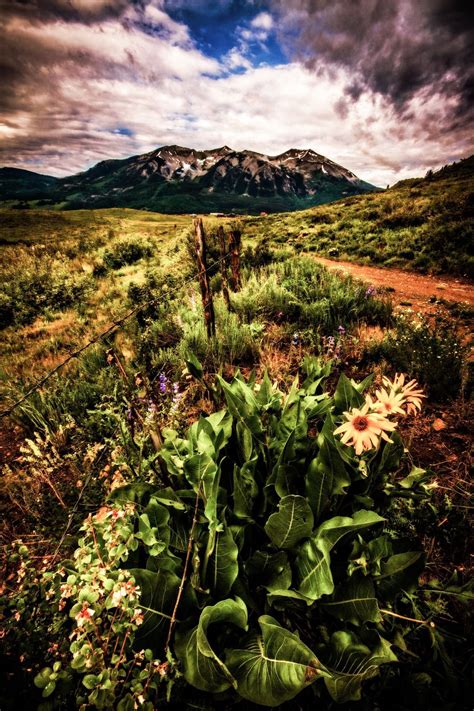 Colorado landscape by Steve Miller | Landscape photography, Colorado landscape, Landscape