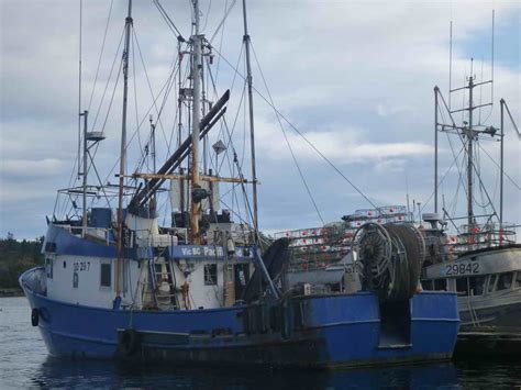 Tuna Shrimp Trawler Longliner