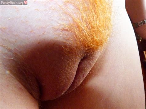 Hairy Ginger Pussy Telegraph