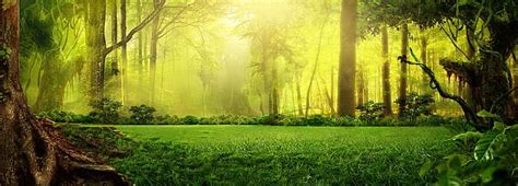 Fantasy Forest Green Background Taobao Png Clipart Banner