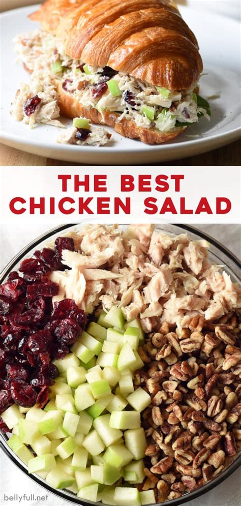 A chicken salad recipe made with chicken, crisp fall apples, dried cranberries, celery, pecans, green onions, and mayonnaise. The Best Chicken Salad Recipe! (With Cranberries, Apples ...